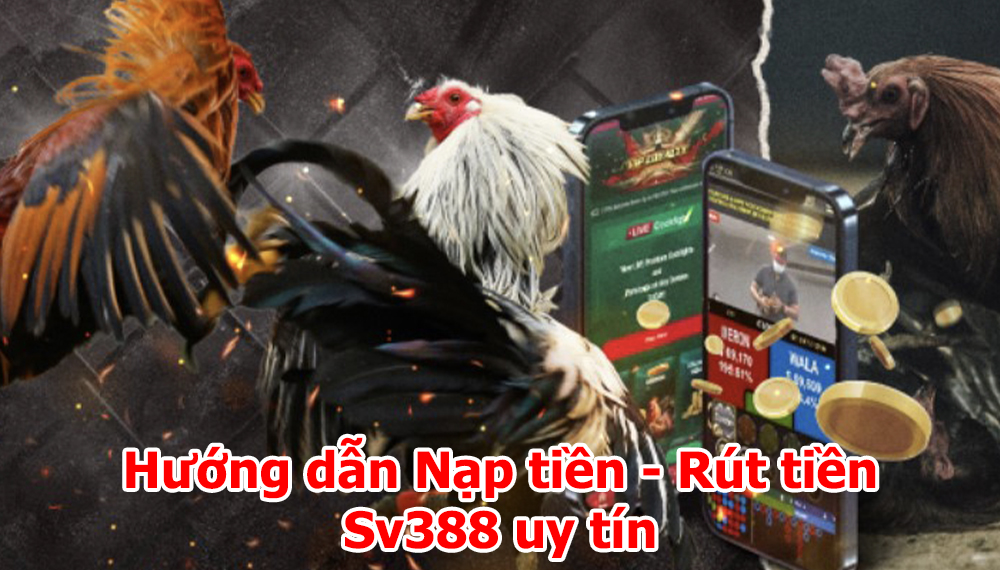 Hướng dẫn Nạp tiền – Rút tiền Sv388